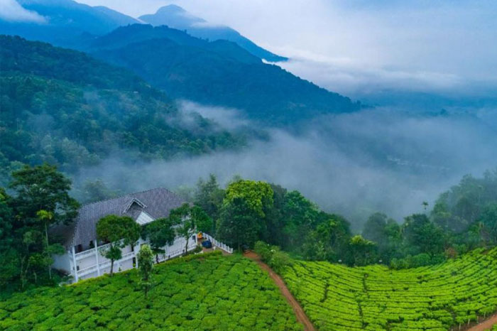 Srilanka